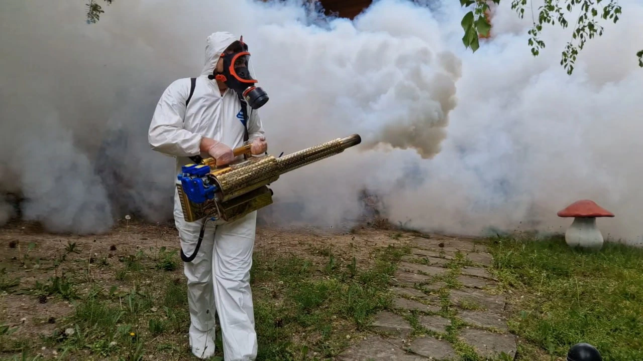 Despre StopDăunători – Servicii DDD