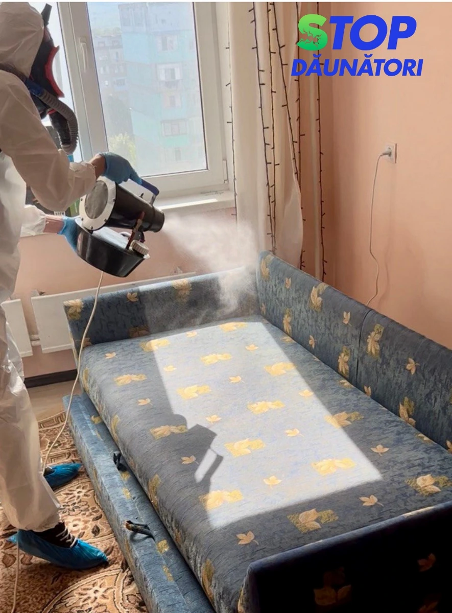 Dezinsecție Ploșnițe Chișinău