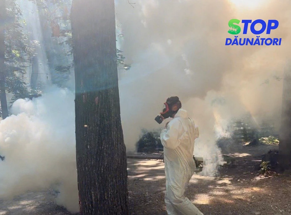 Dezinsecție Țânțari Chișinău